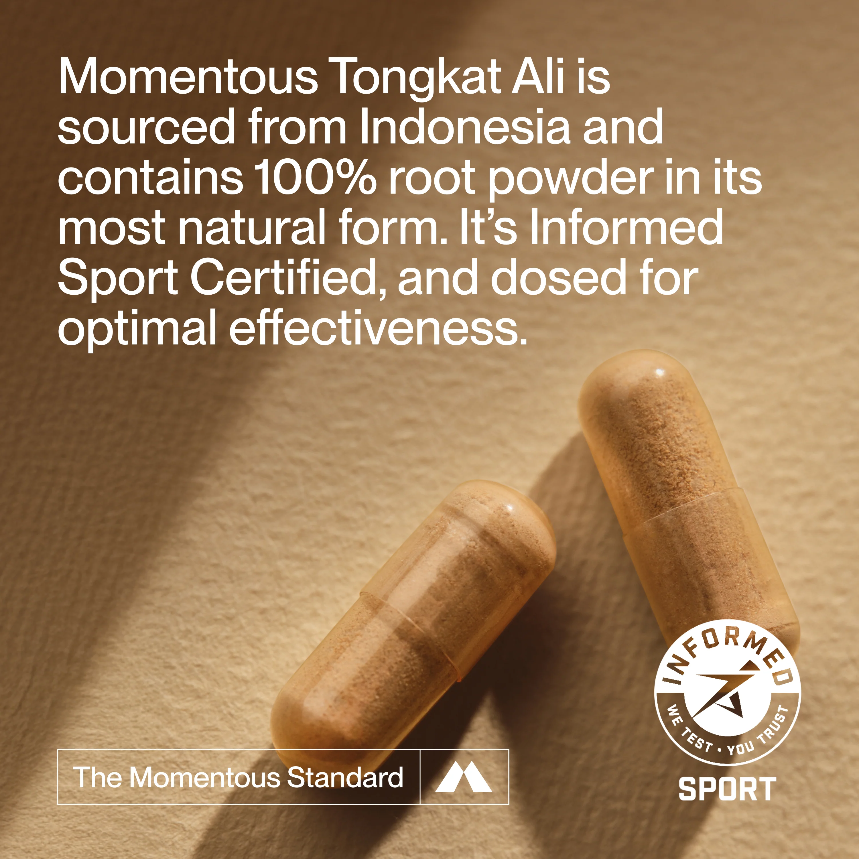 Tongkat 60 Day Supply - Image 3
