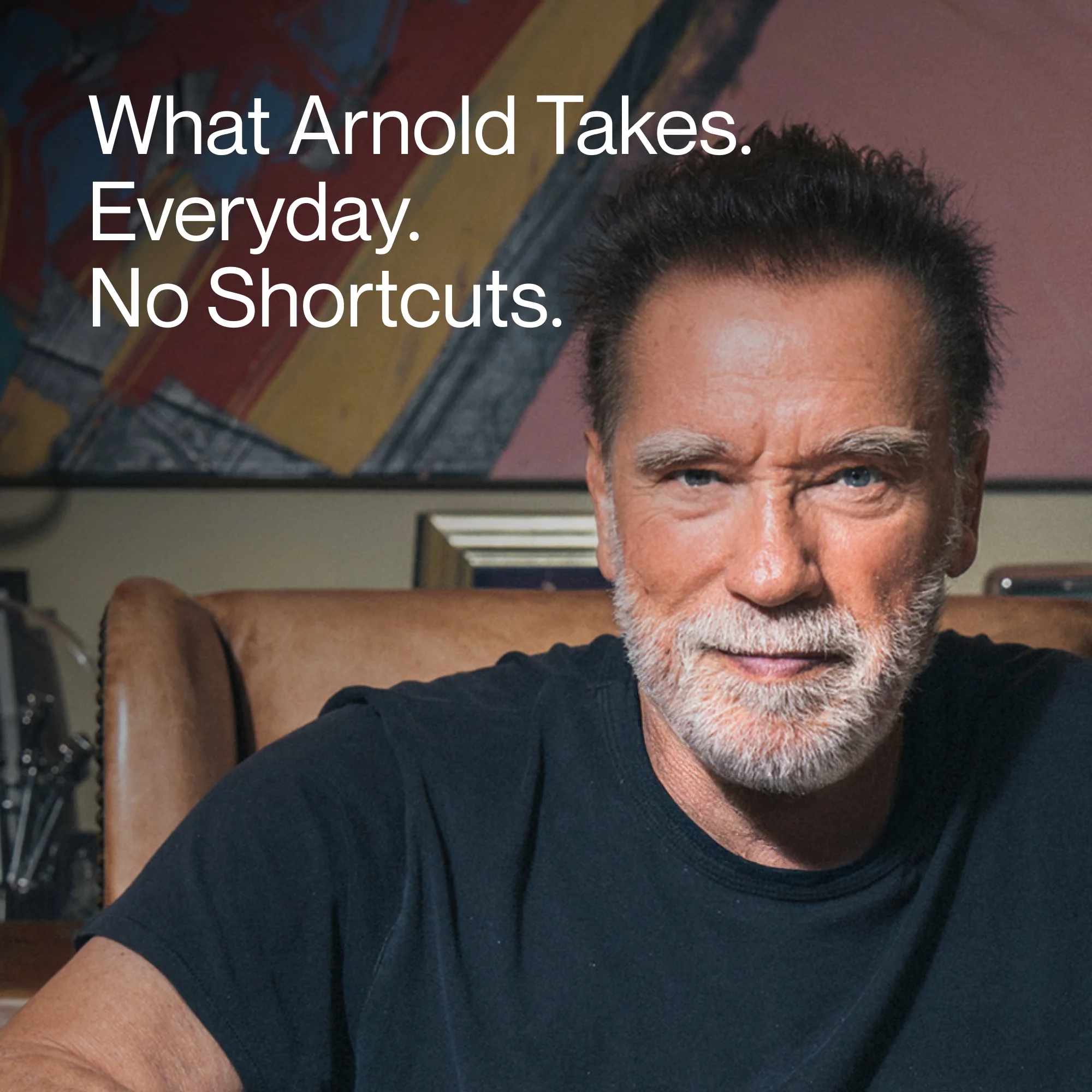 Arnold’s Ultimate Stack - Image 8