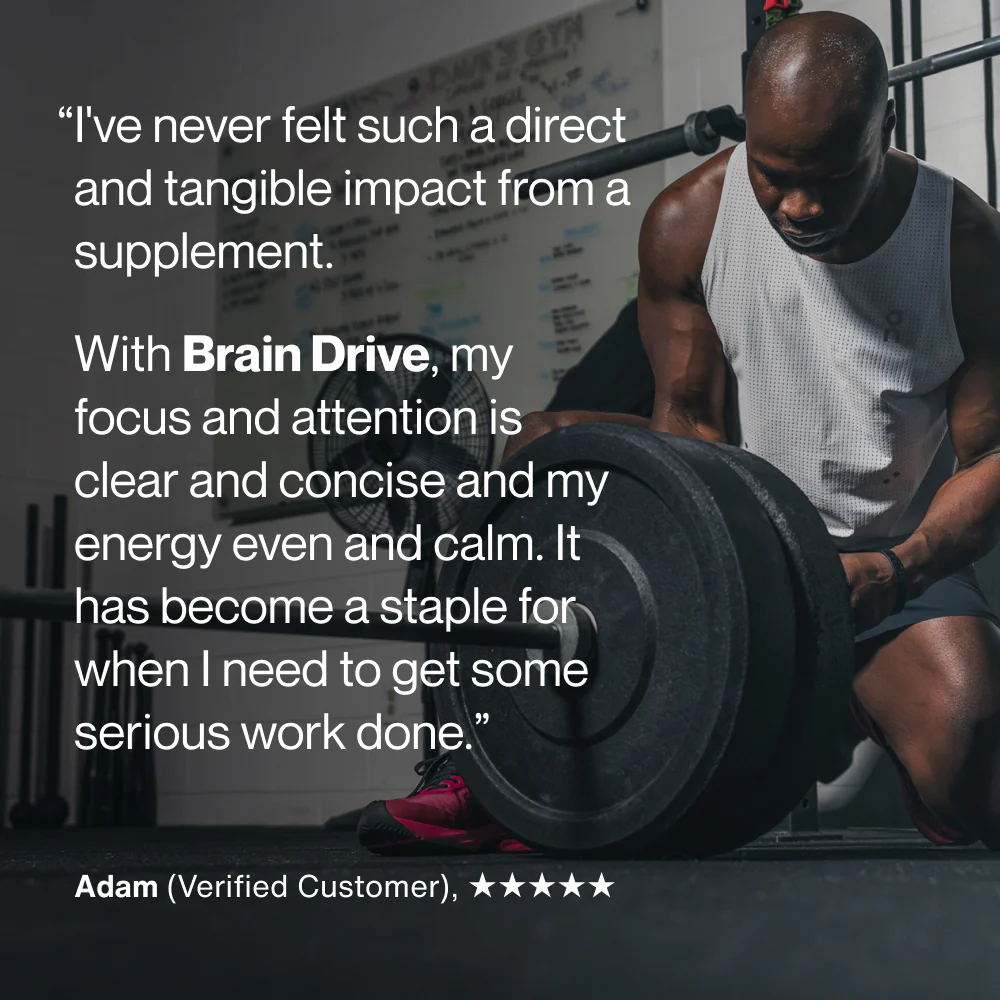 Brain Drive - Image 5