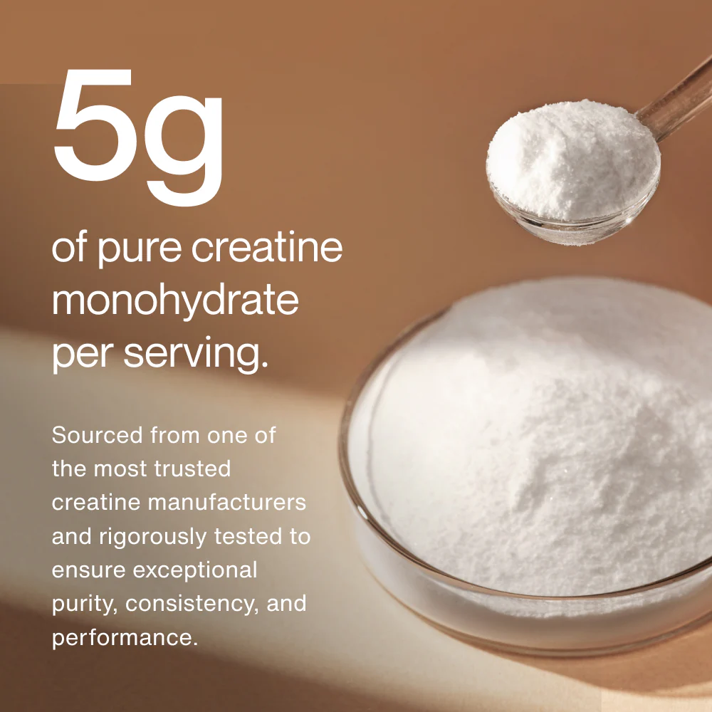 Creatine - Image 3
