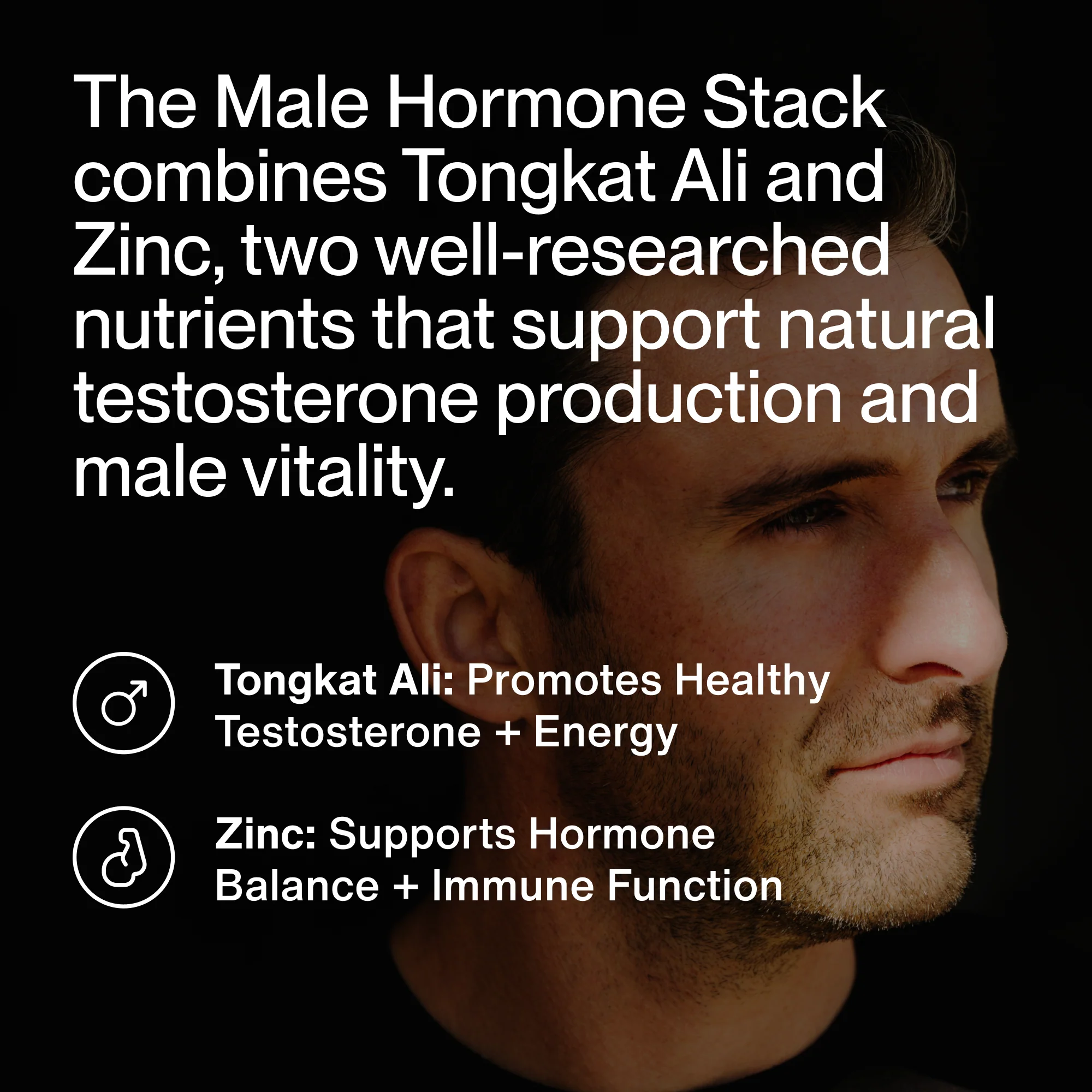 Male Hormone Support Stack - Image 2