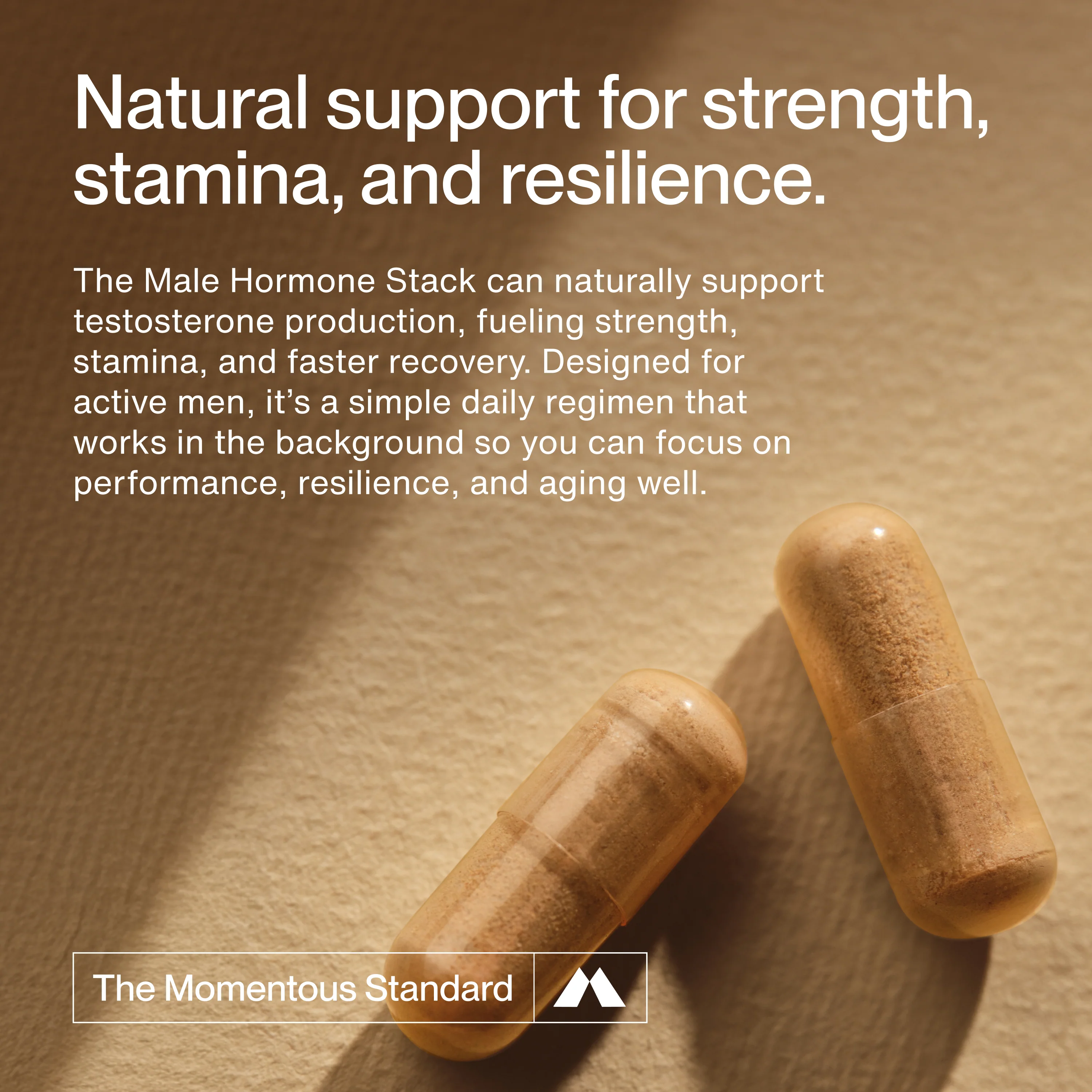 Male Hormone Support Stack - Image 3