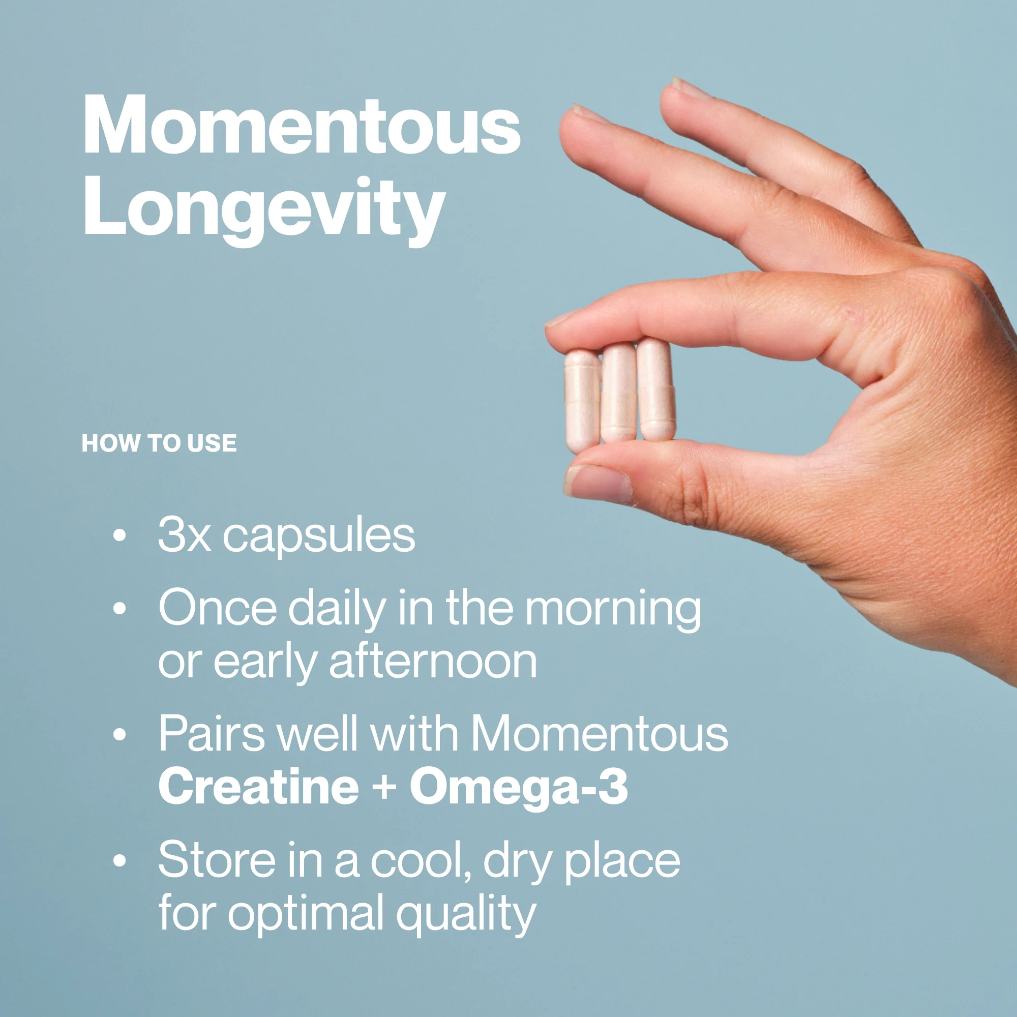 Longevity - Image 4