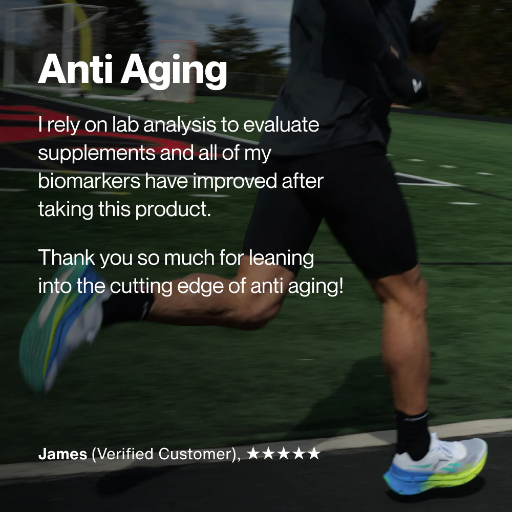Longevity - Image 7