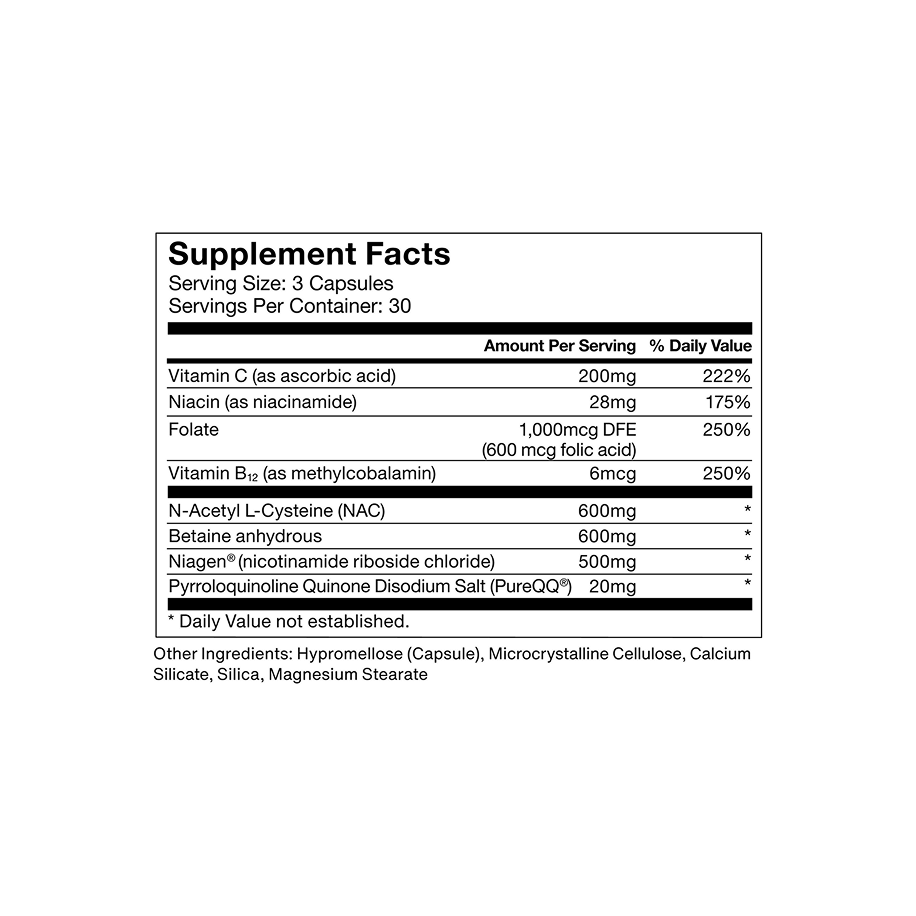 Longevity - Image 8