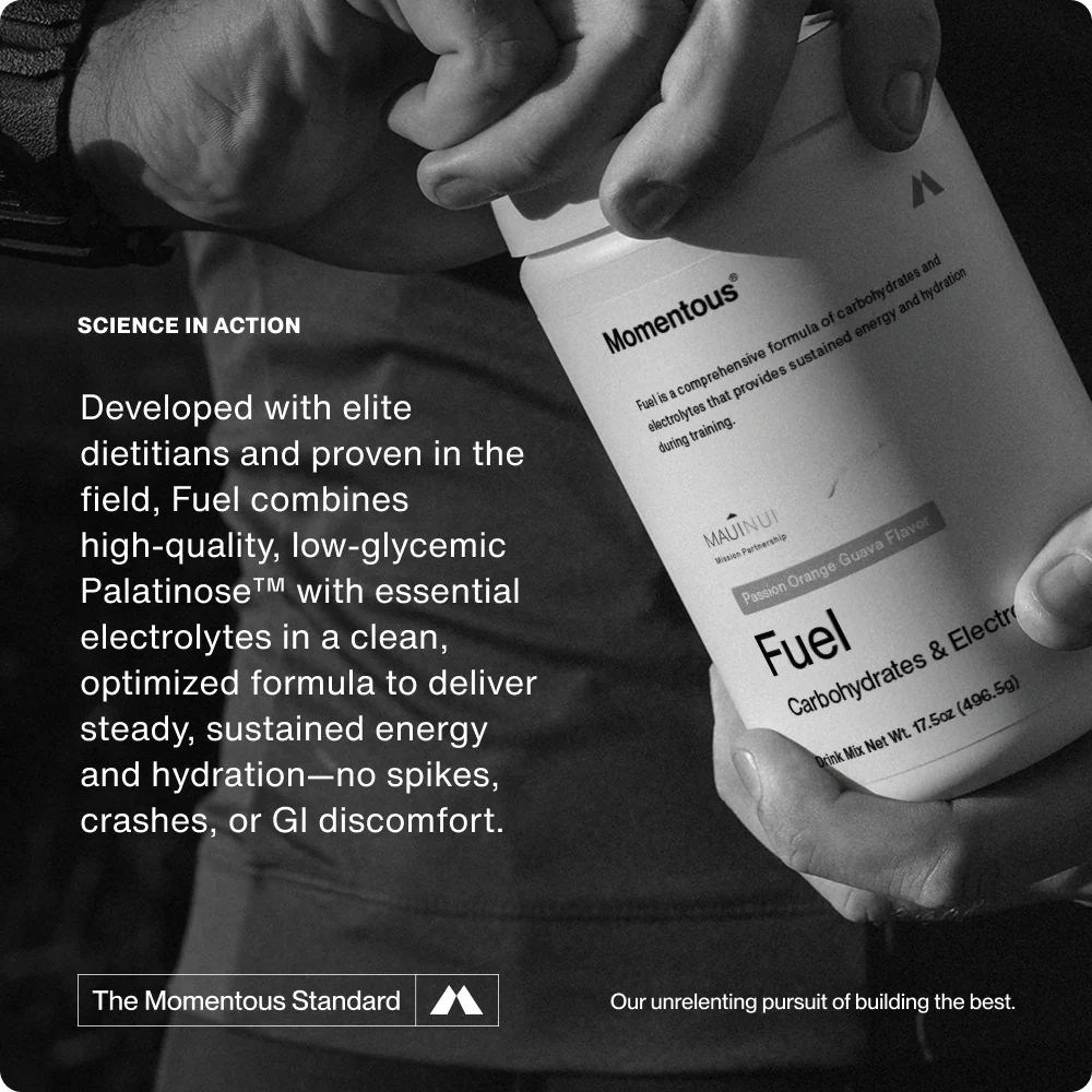 Fuel - Image 5