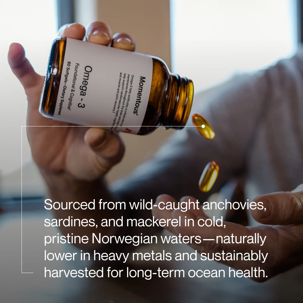 Omega-3 - Image 4
