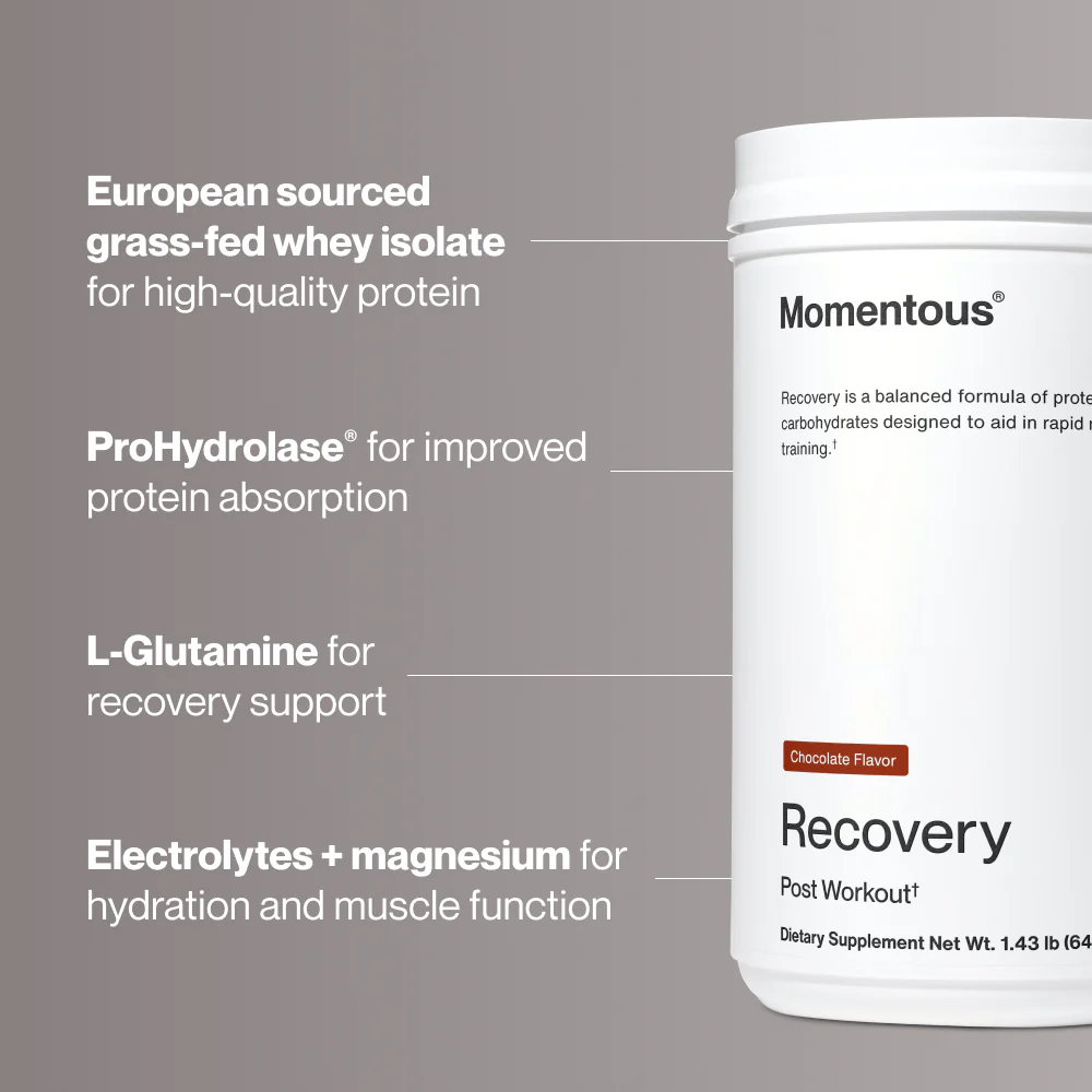 Recovery - Image 3