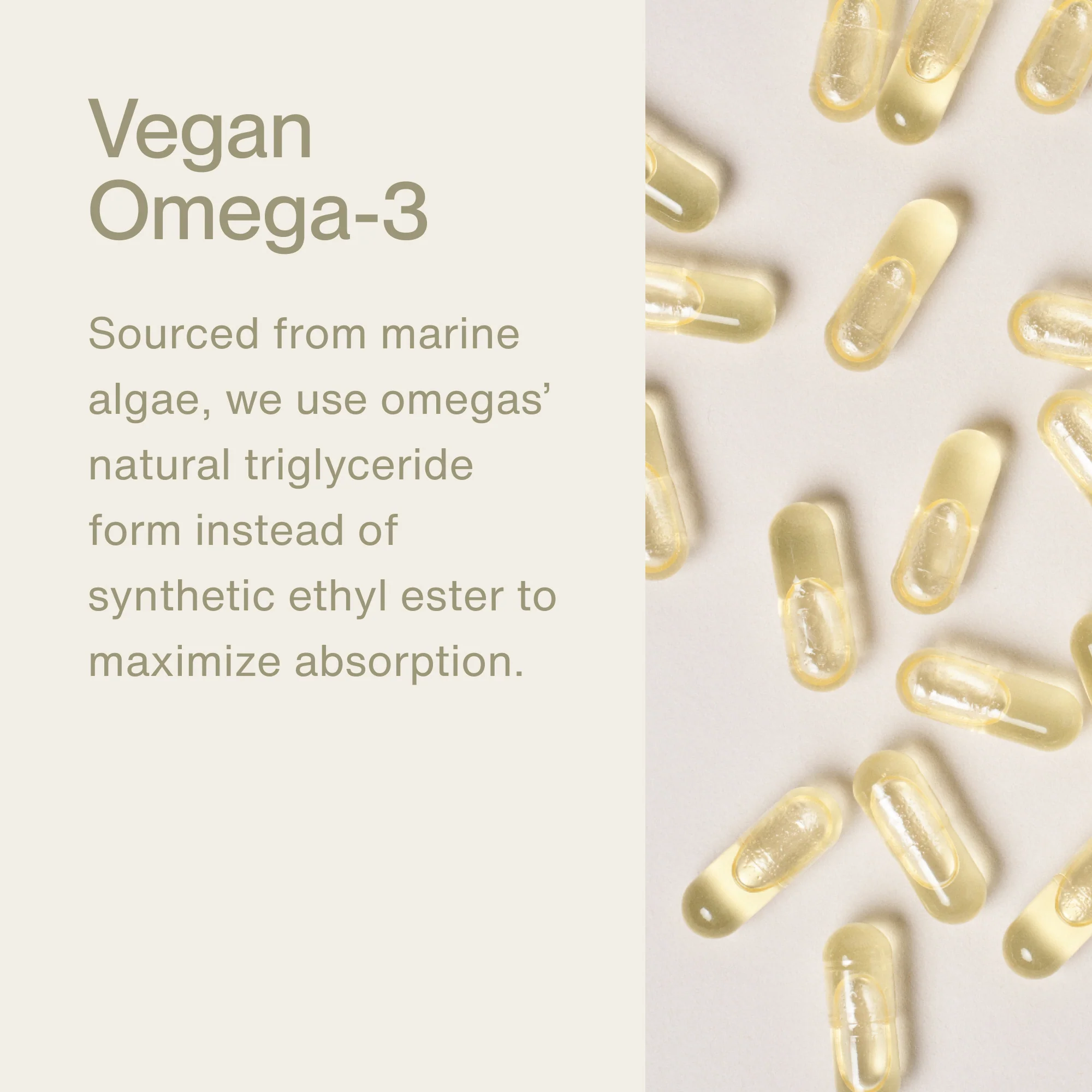 The Momentous Three - Vegan - Image 6