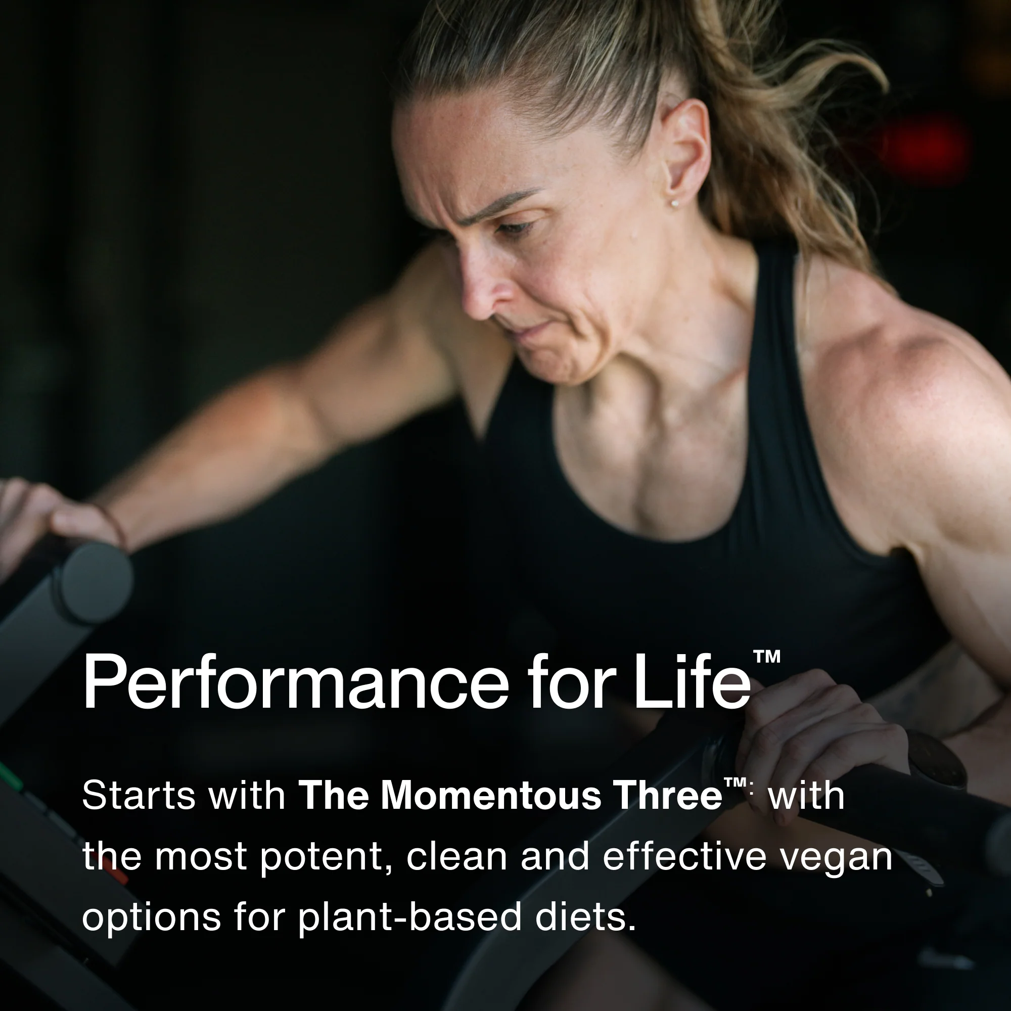 The Momentous Three - Vegan - Image 8
