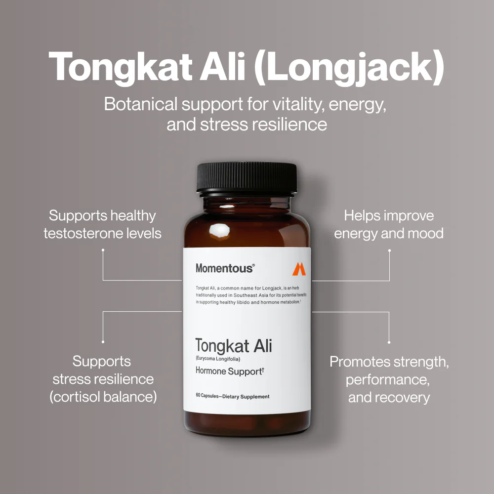Tongkat Ali - Image 3