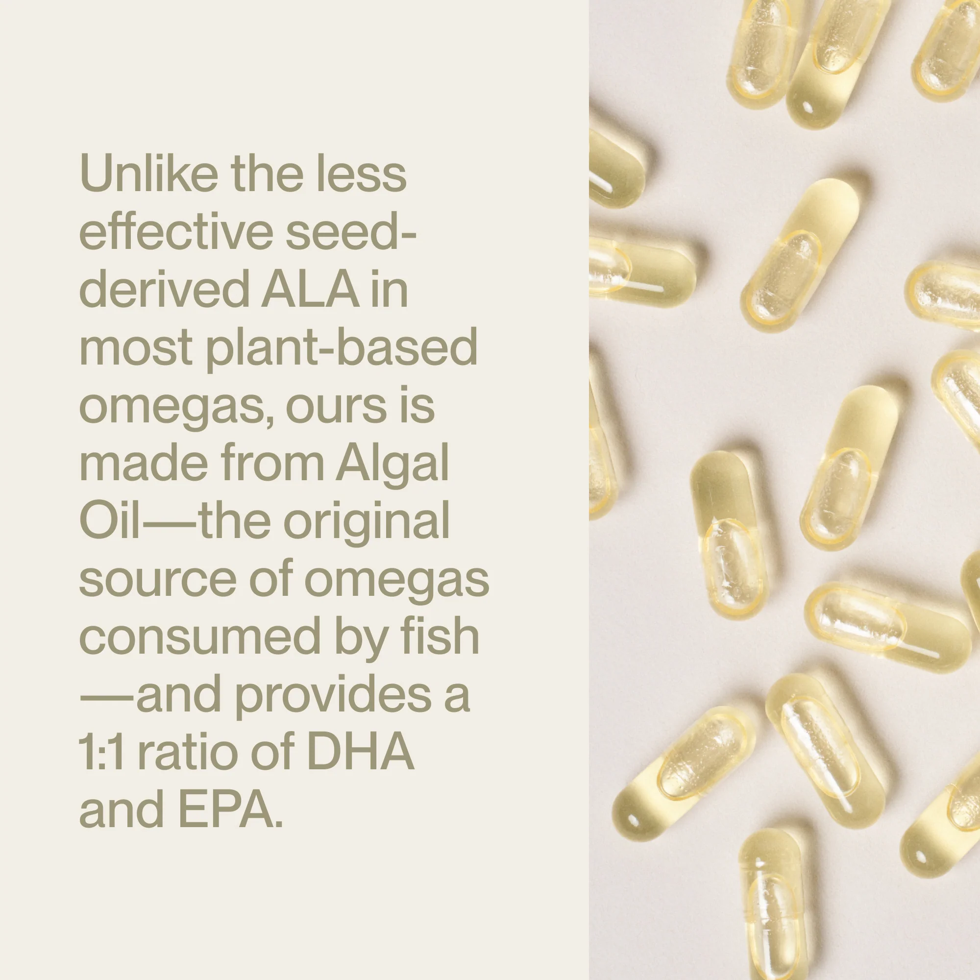 Vegan Omega-3 - Image 3